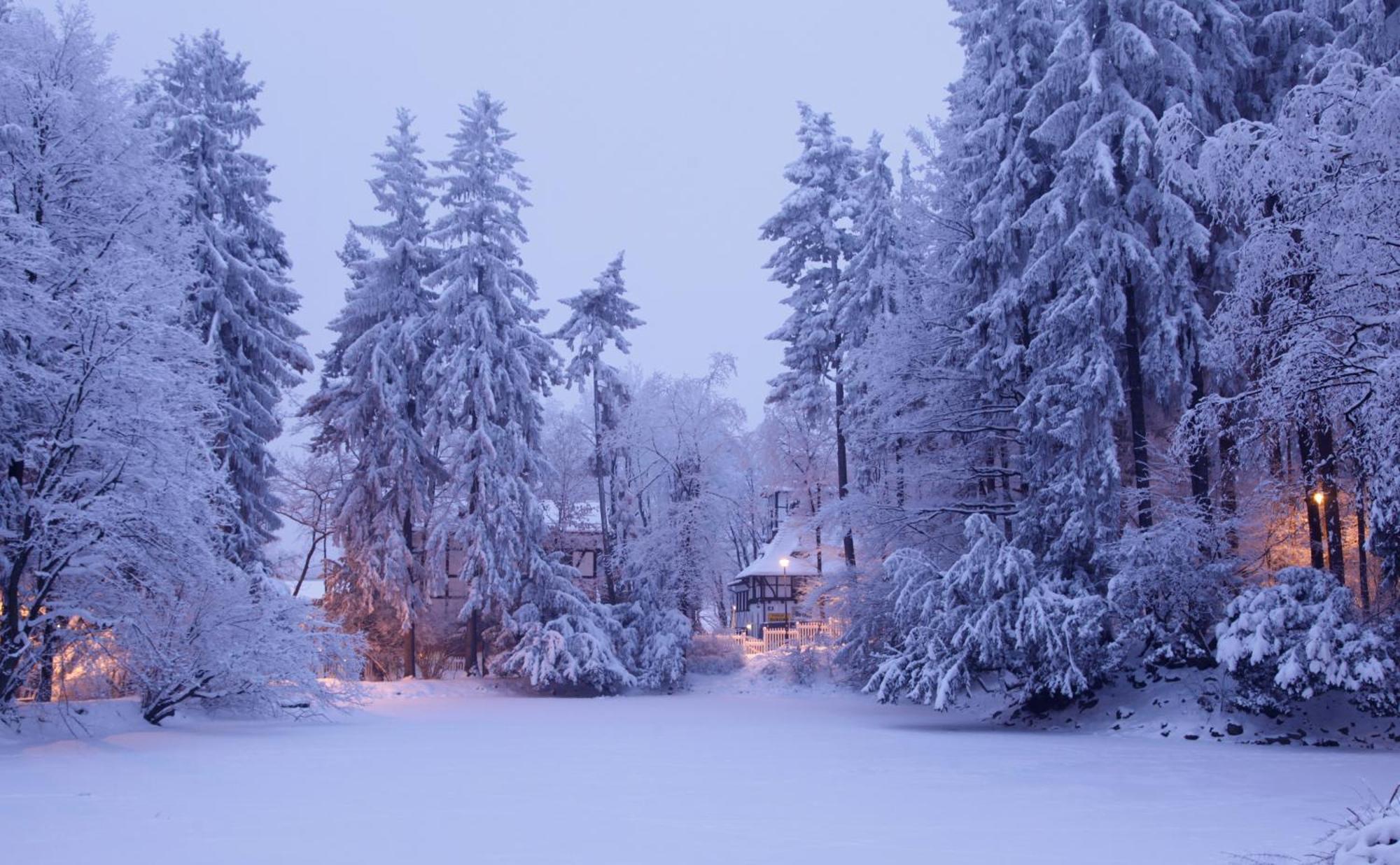 Bukowy Dworek Bed and Breakfast Szczawno-Zdroj Buitenkant foto