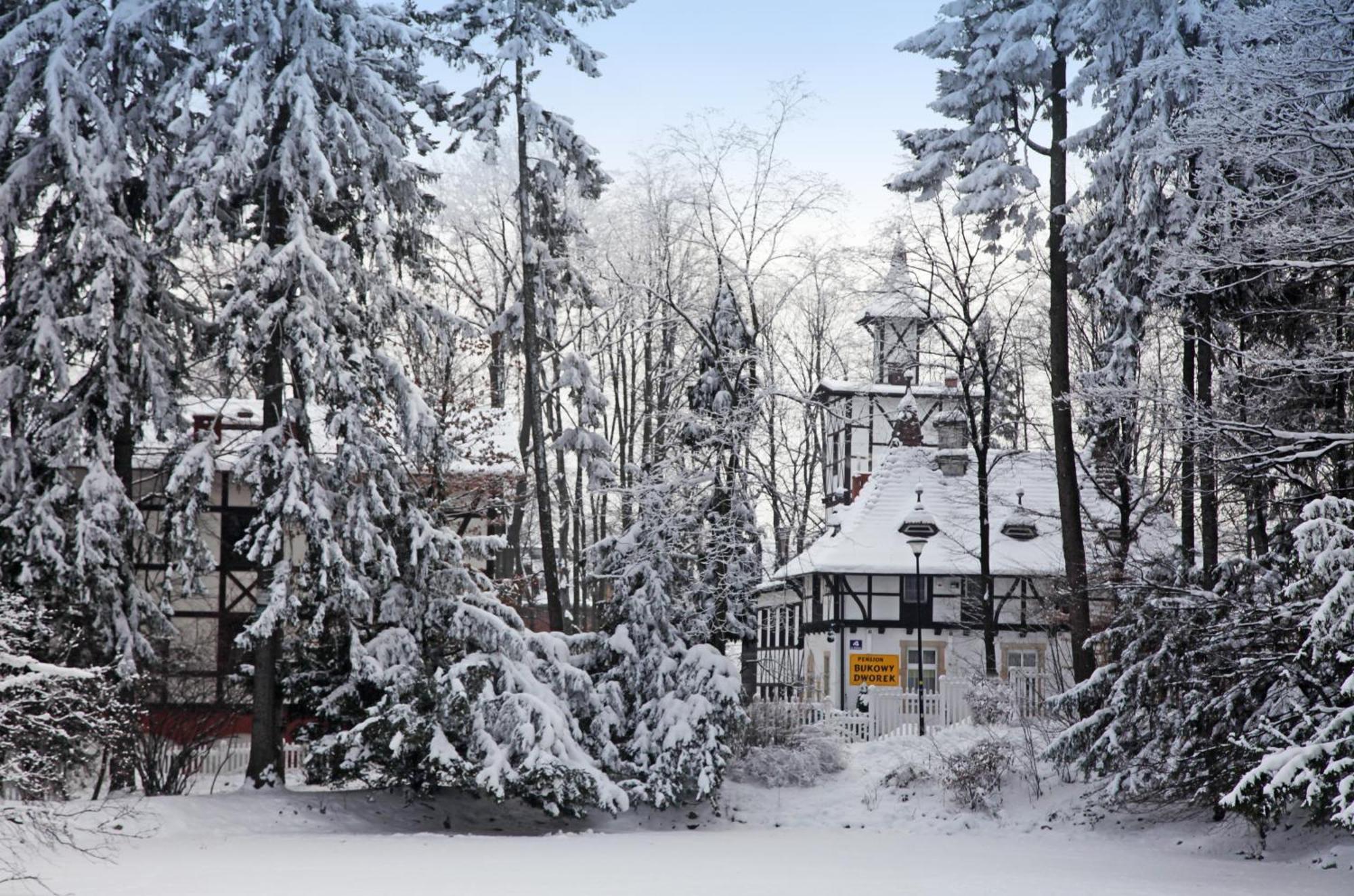 Bukowy Dworek Bed and Breakfast Szczawno-Zdroj Buitenkant foto