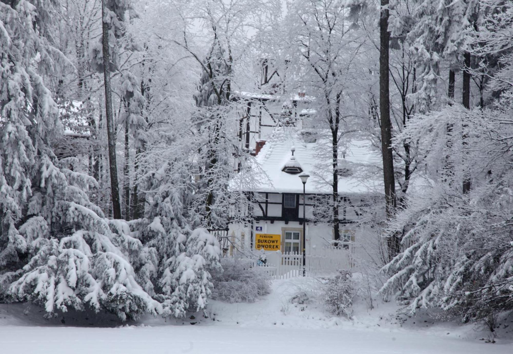 Bukowy Dworek Bed and Breakfast Szczawno-Zdroj Buitenkant foto