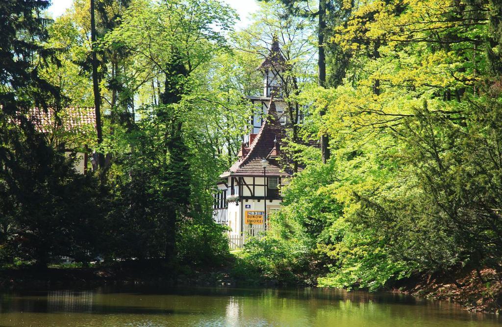 Bukowy Dworek Bed and Breakfast Szczawno-Zdroj Buitenkant foto