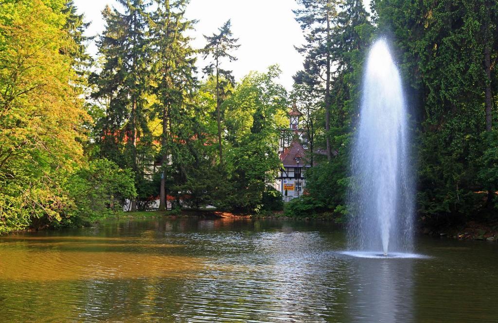 Bukowy Dworek Szczawno-Zdroj Buitenkant foto